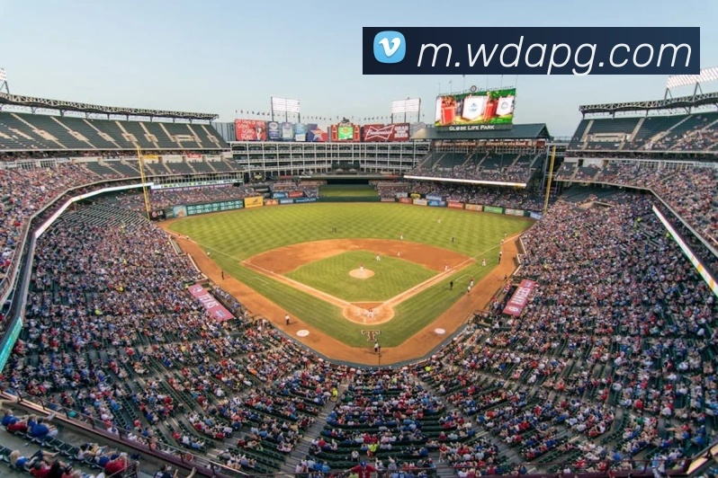 pg官网平台生态图