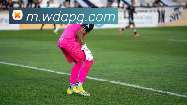 pg官网APP 封面图